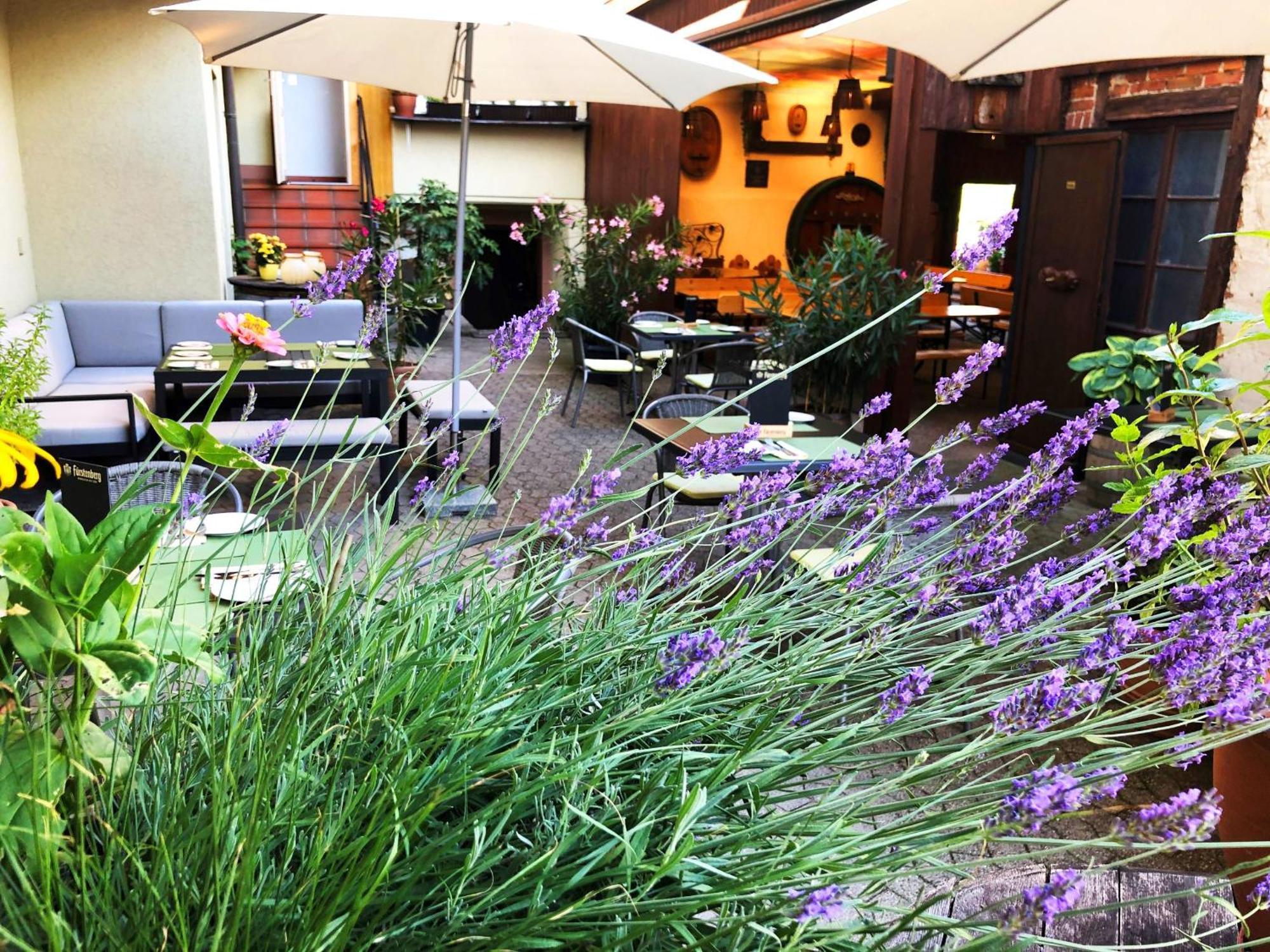 Appartements 'In Vino Veritas' Haslach im Kinzigtal Exterior photo